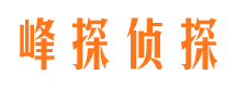 汉南市私人调查